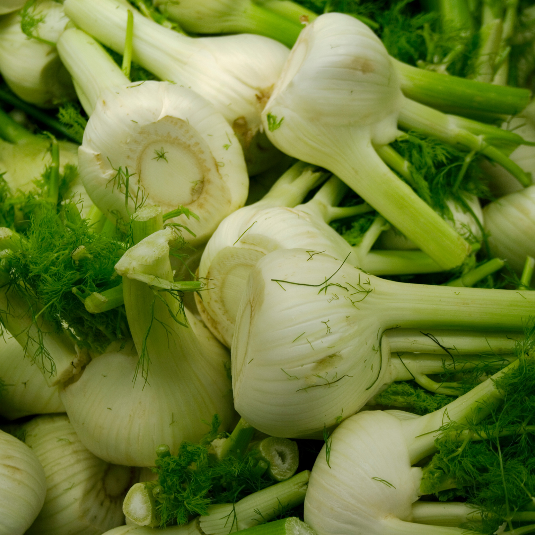 Fenchel