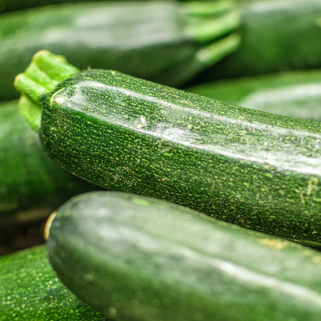 Zucchini