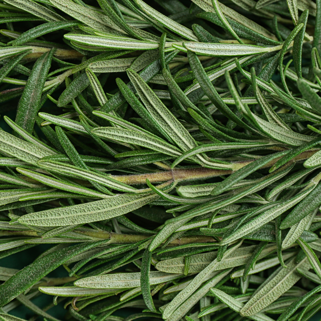 Kräuter