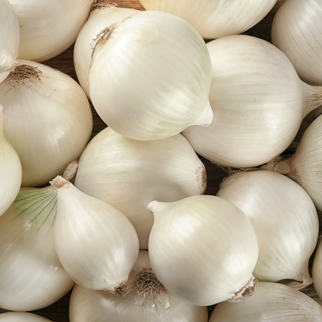 Zwiebel Weiß 1Kg