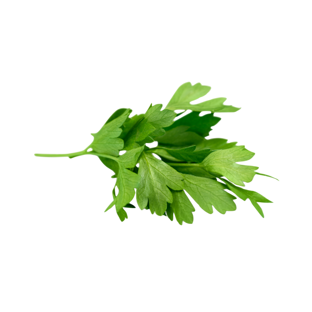 Petersilie