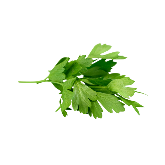 Petersilie