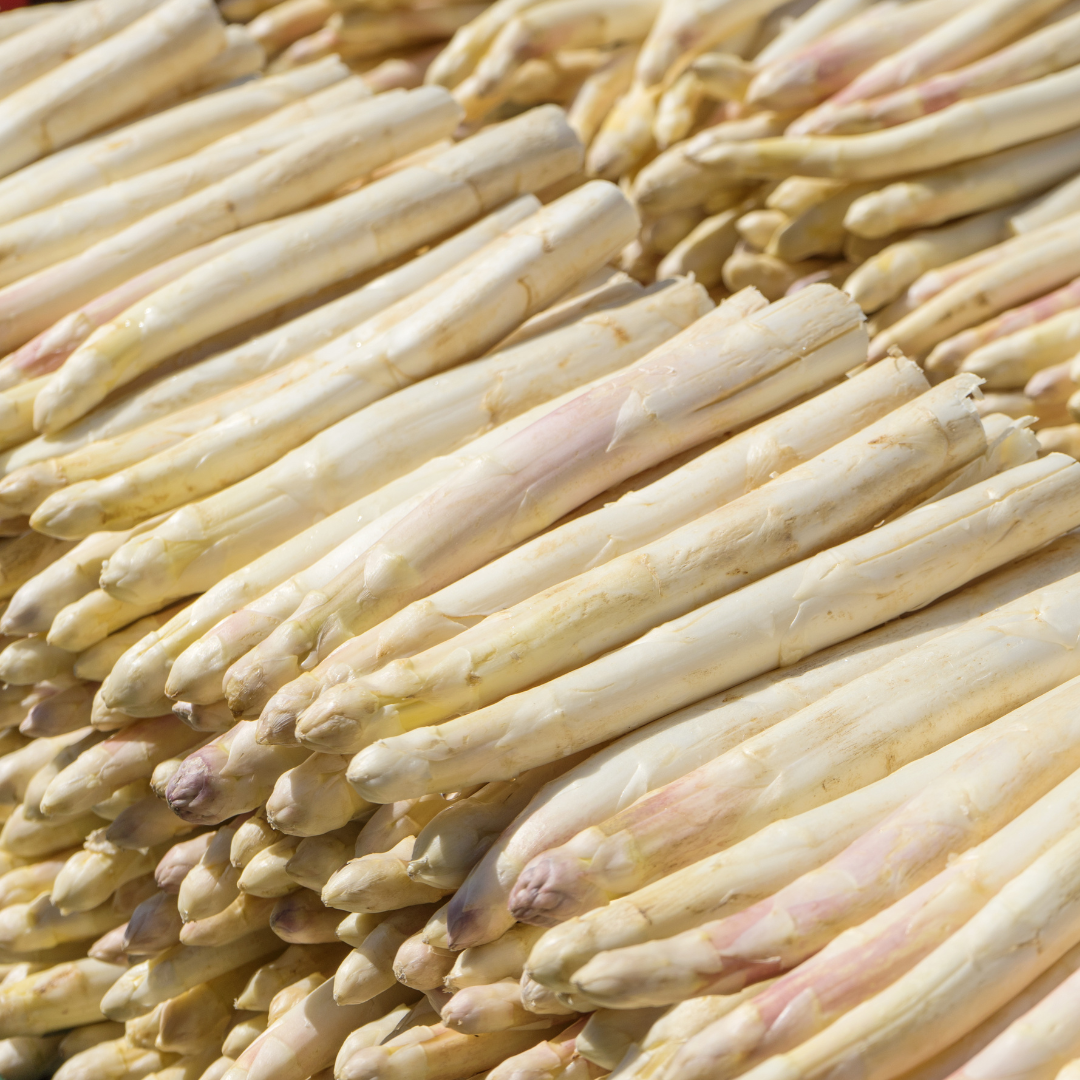 Spargel Weiß Bund 500g