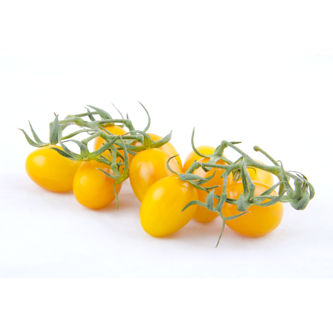 Tomate Datterino