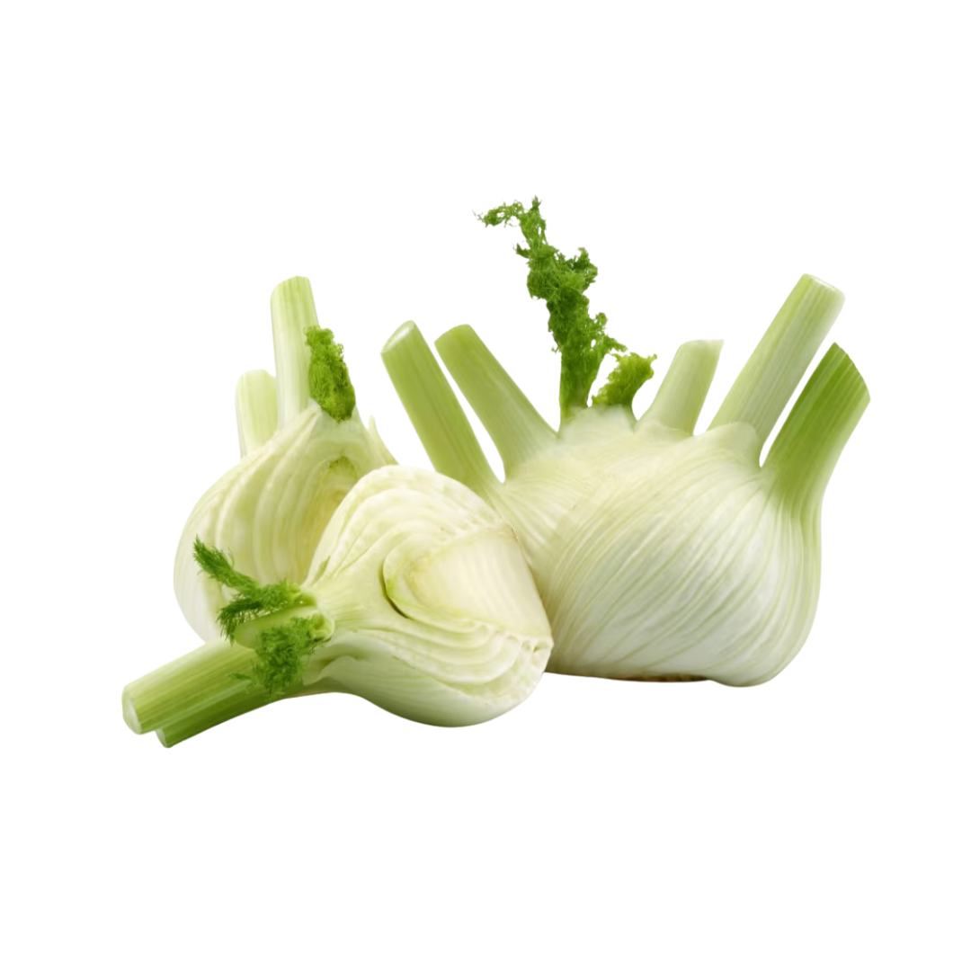 Fenchel