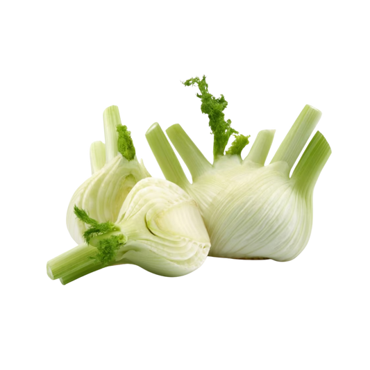 Fenchel