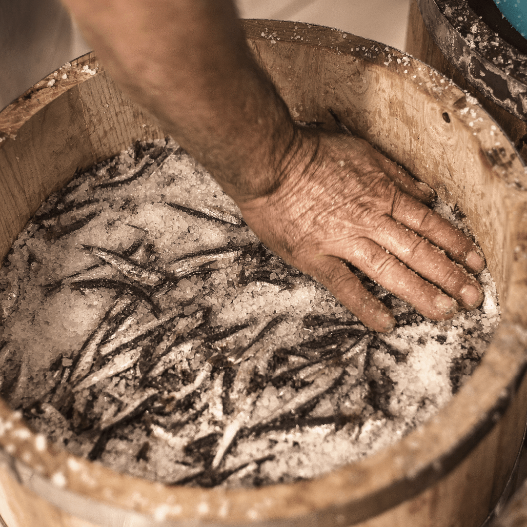 Zubereitung italienischer Alici von Armatore – Sardellen im Holzfass mit grobem Meersalz – KUCINA