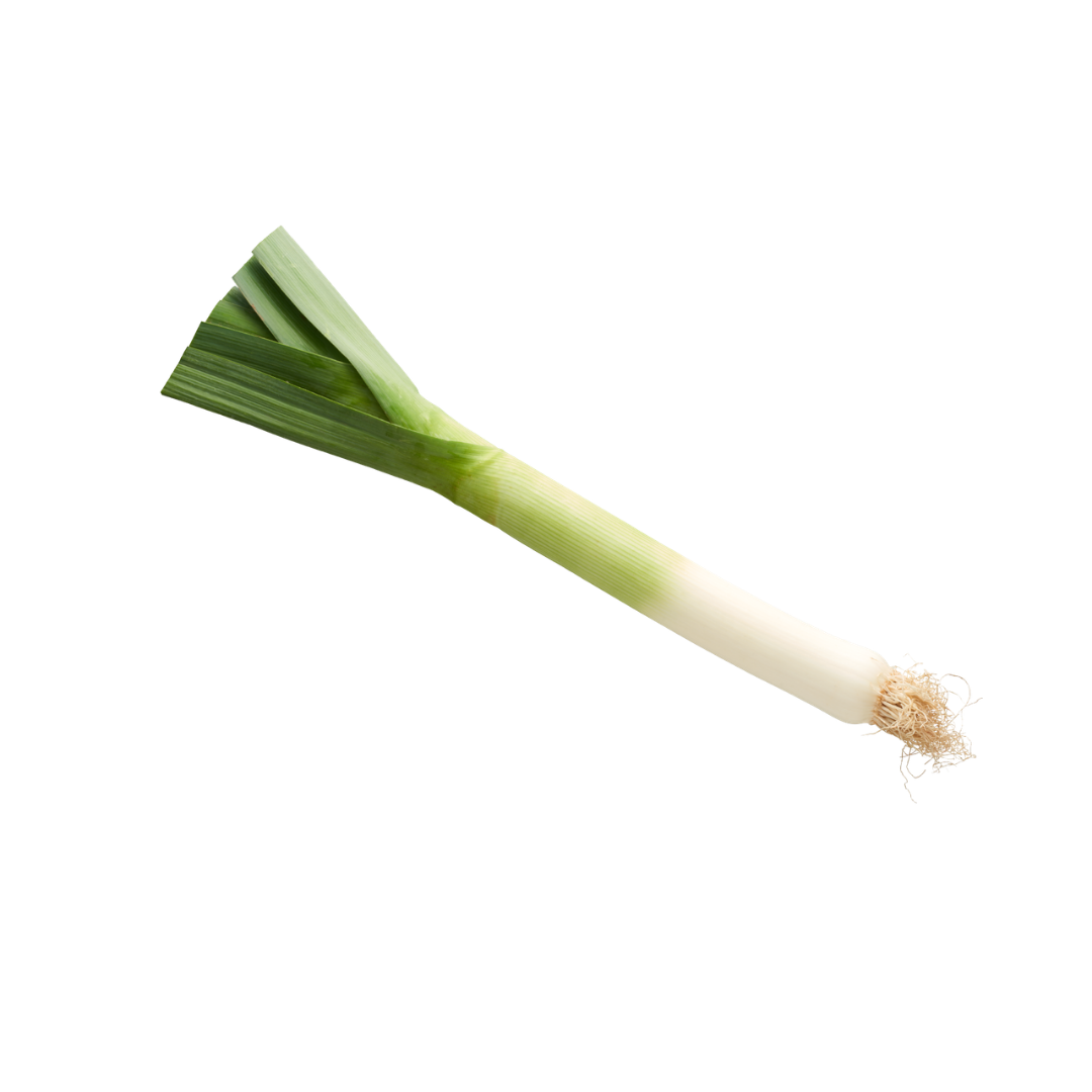 Lauch Stück