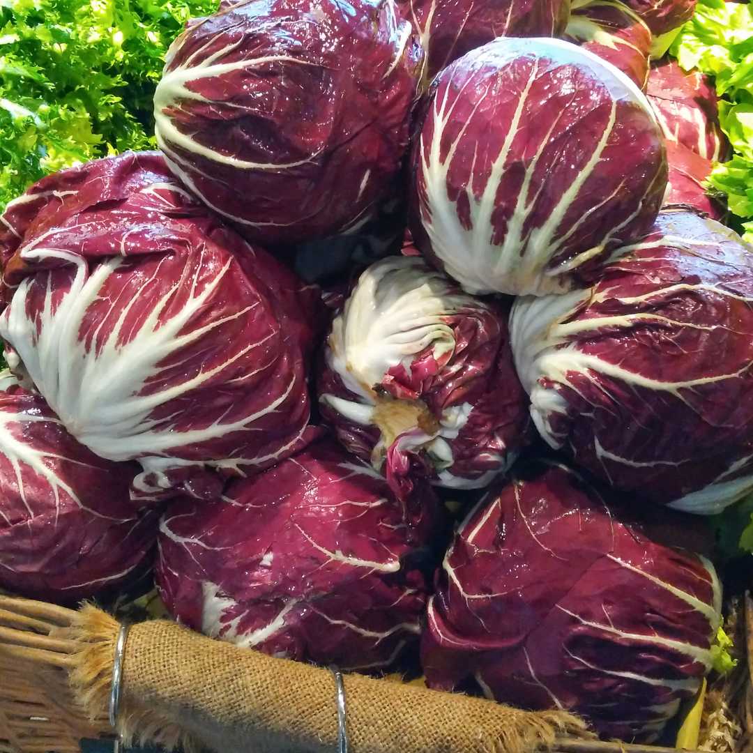 Radicchio Rosso Rund