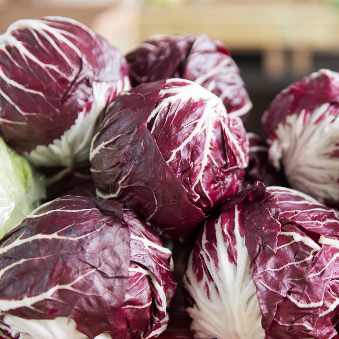 Radicchio Rosso Rund